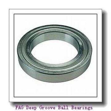 FAG 6306-2Z Deep Groove Ball Bearings