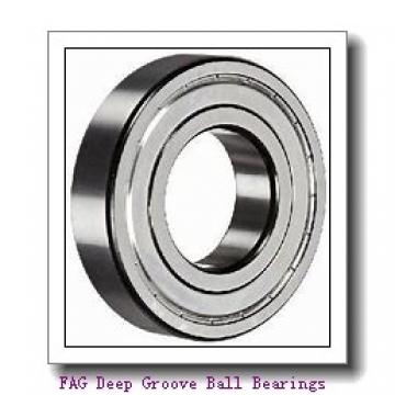 FAG 6307-2RSR Deep Groove Ball Bearings