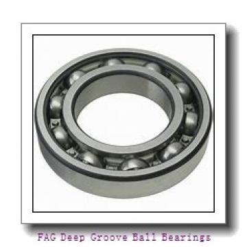 FAG 6309-2Z Deep Groove Ball Bearings