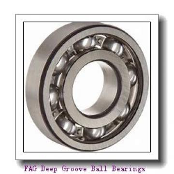 FAG 6314-2Z Deep Groove Ball Bearings