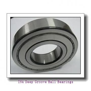 INA 722071310 Deep Groove Ball Bearings