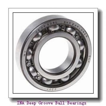 INA 712076410 Deep Groove Ball Bearings