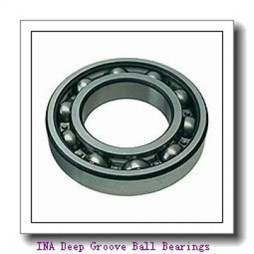 INA AY25-NPP-B Deep Groove Ball Bearings