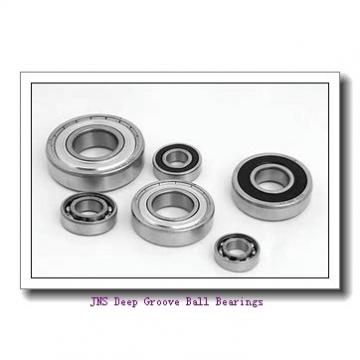 JNS NA 4926 Deep Groove Ball Bearings