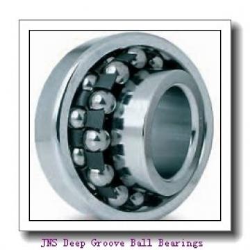 JNS NA 5909 Deep Groove Ball Bearings