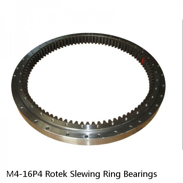 M4-16P4 Rotek Slewing Ring Bearings