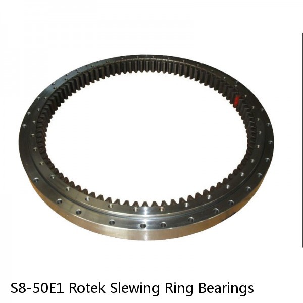 S8-50E1 Rotek Slewing Ring Bearings