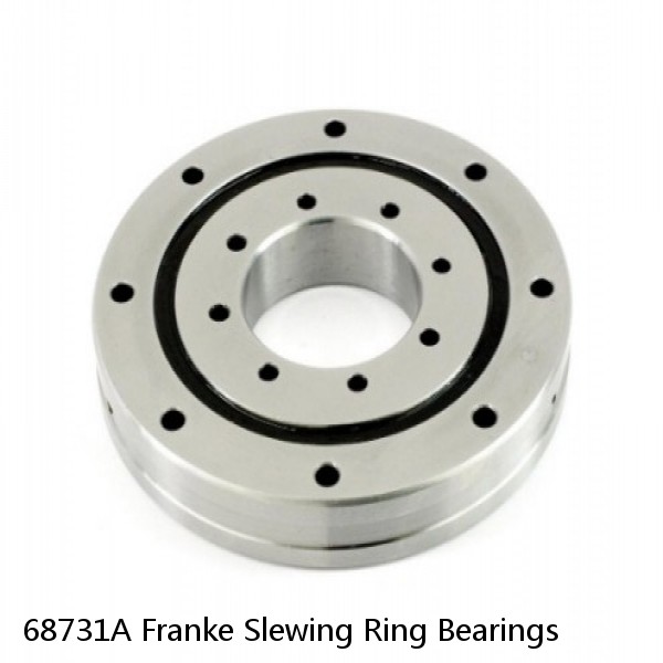 68731A Franke Slewing Ring Bearings