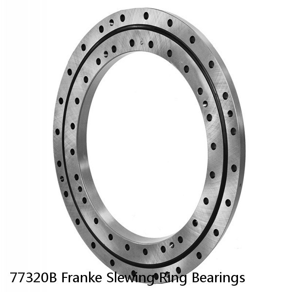 77320B Franke Slewing Ring Bearings