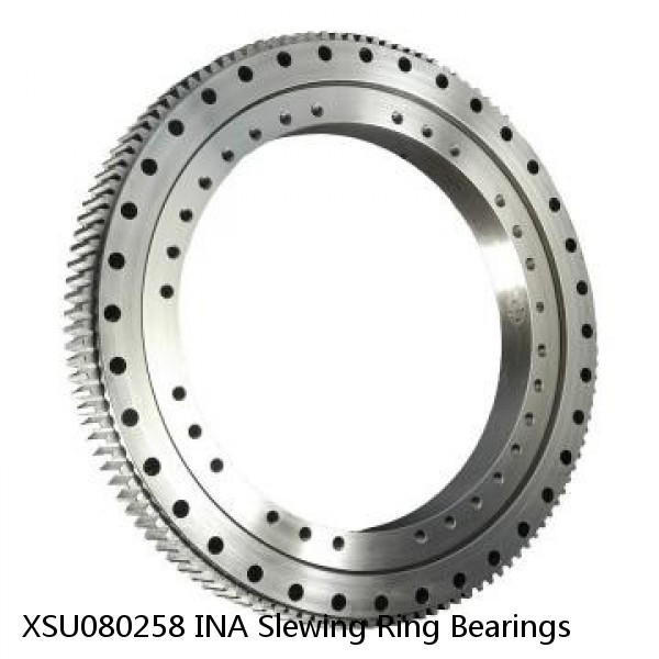 XSU080258 INA Slewing Ring Bearings