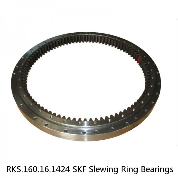 RKS.160.16.1424 SKF Slewing Ring Bearings