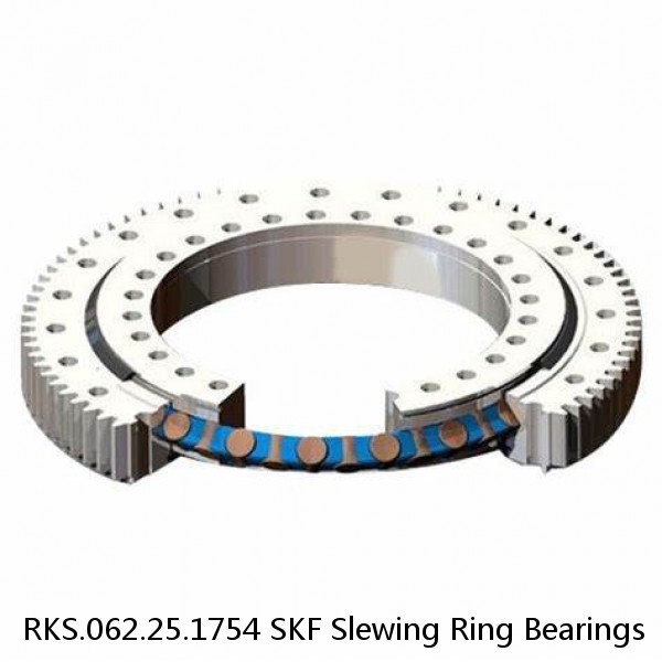 RKS.062.25.1754 SKF Slewing Ring Bearings