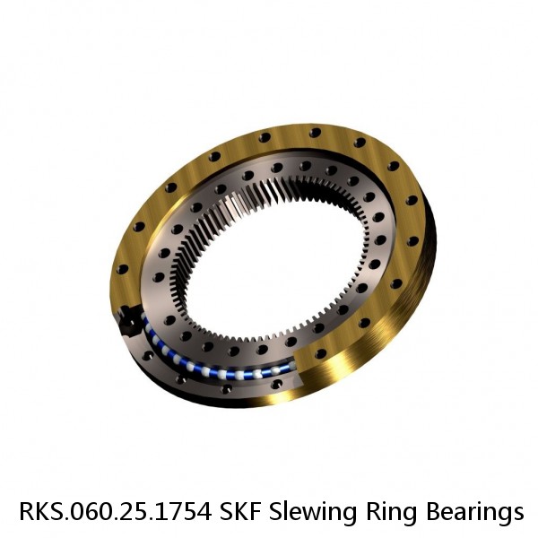 RKS.060.25.1754 SKF Slewing Ring Bearings