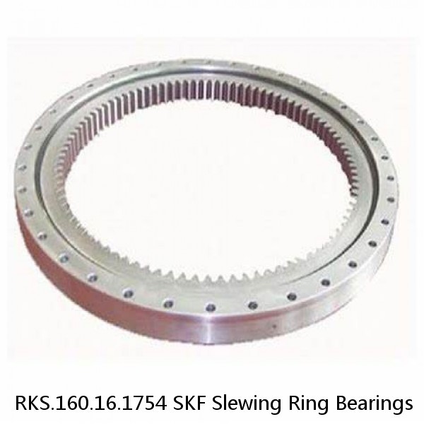 RKS.160.16.1754 SKF Slewing Ring Bearings