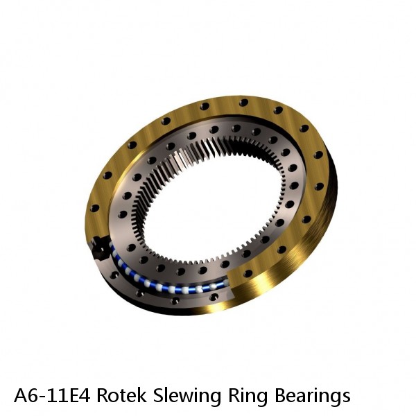 A6-11E4 Rotek Slewing Ring Bearings