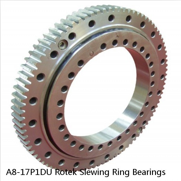 A8-17P1DU Rotek Slewing Ring Bearings