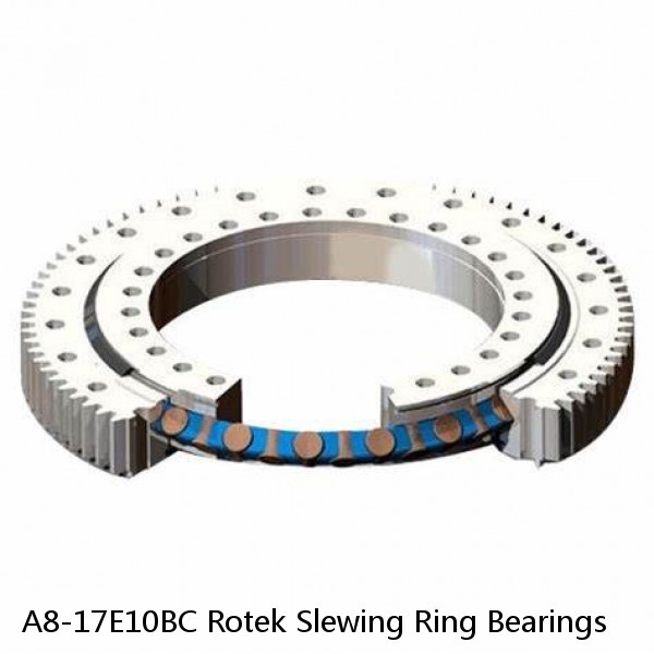 A8-17E10BC Rotek Slewing Ring Bearings