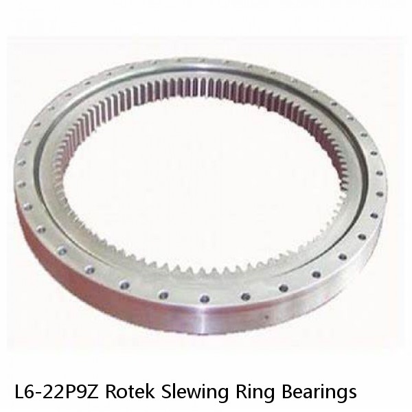 L6-22P9Z Rotek Slewing Ring Bearings