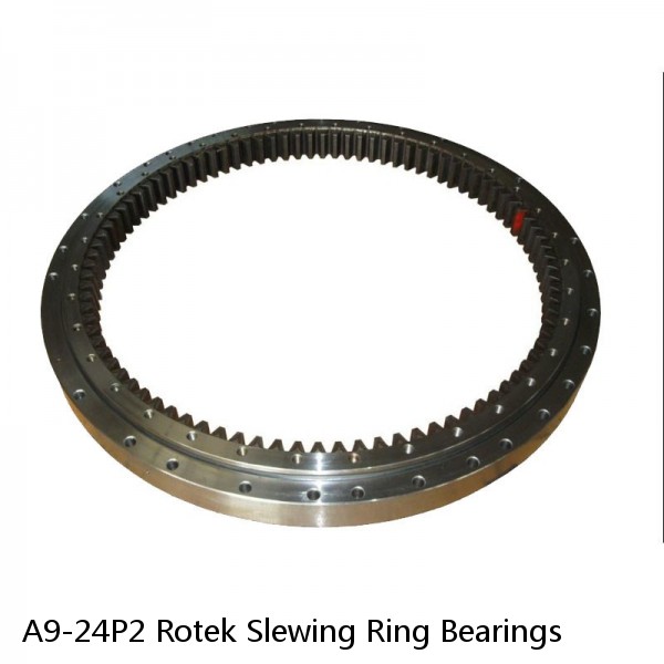 A9-24P2 Rotek Slewing Ring Bearings