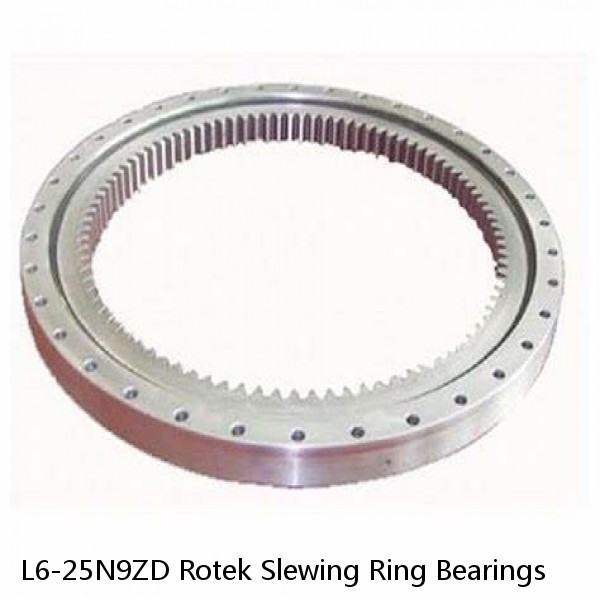 L6-25N9ZD Rotek Slewing Ring Bearings