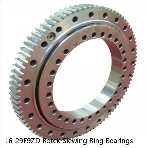 L6-29E9ZD Rotek Slewing Ring Bearings