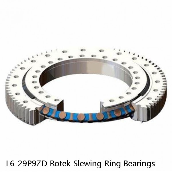 L6-29P9ZD Rotek Slewing Ring Bearings