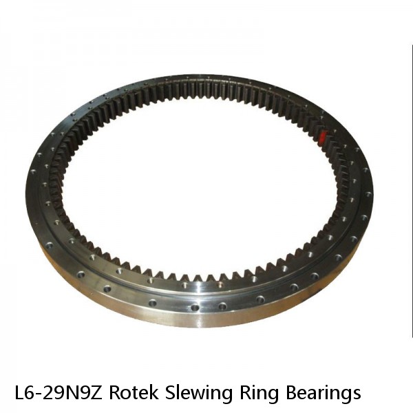 L6-29N9Z Rotek Slewing Ring Bearings