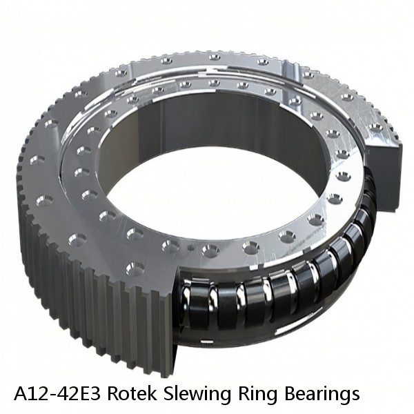 A12-42E3 Rotek Slewing Ring Bearings