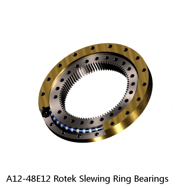 A12-48E12 Rotek Slewing Ring Bearings