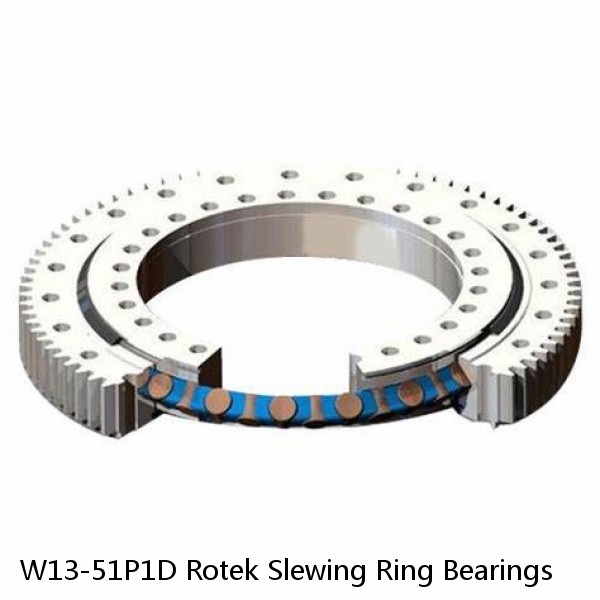 W13-51P1D Rotek Slewing Ring Bearings