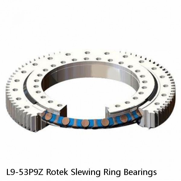 L9-53P9Z Rotek Slewing Ring Bearings