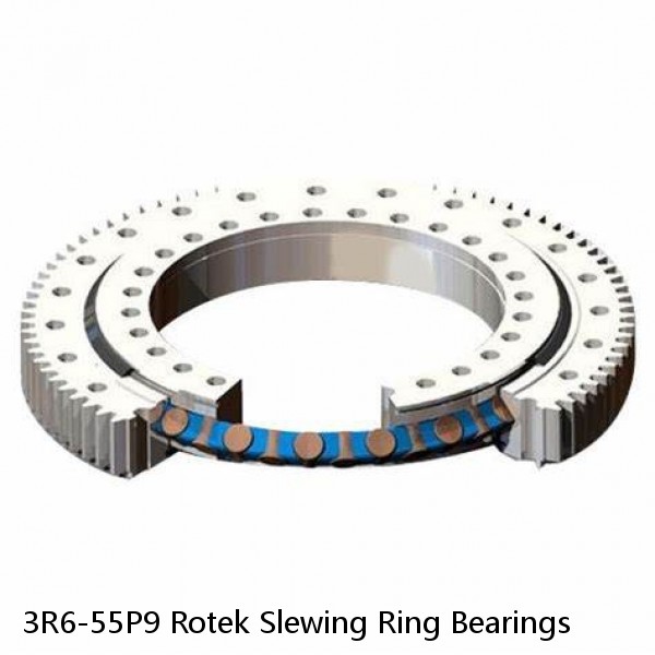 3R6-55P9 Rotek Slewing Ring Bearings