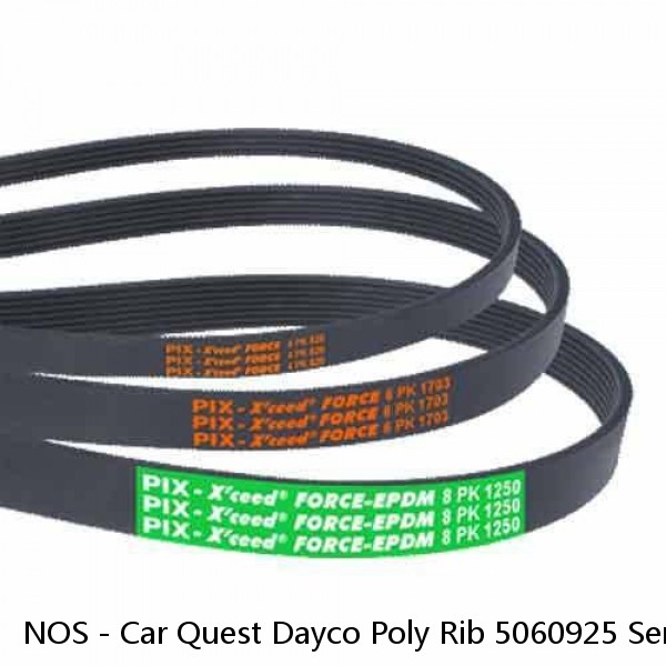 NOS - Car Quest Dayco Poly Rib 5060925 Serpentine Belt