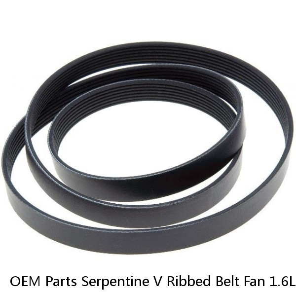 OEM Parts Serpentine V Ribbed Belt Fan 1.6L 25212 2B020 for HYUNDAI Car