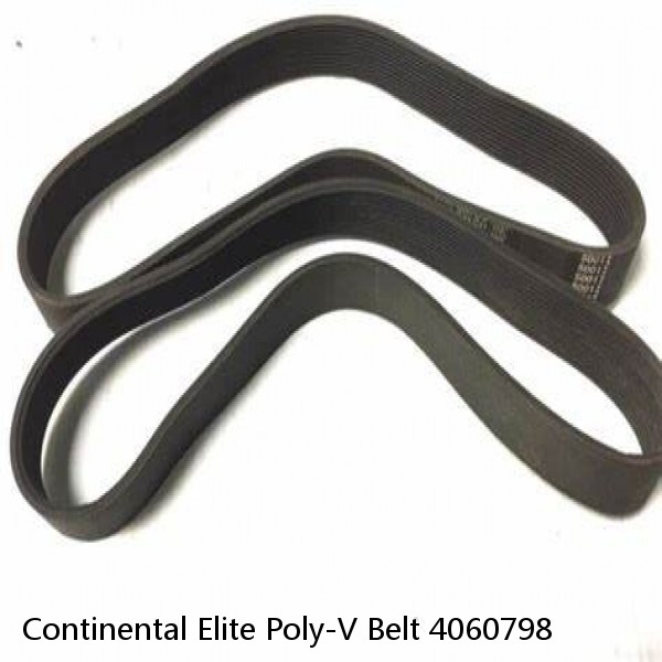 Continental Elite Poly-V Belt 4060798