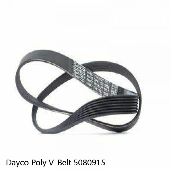 Dayco Poly V-Belt 5080915