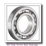 AST 6313-2RS Deep Groove Ball Bearings