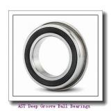 AST 6313 Deep Groove Ball Bearings