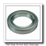 FAG 6310-2RSR Deep Groove Ball Bearings