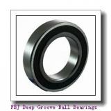 FBJ 6700 Deep Groove Ball Bearings