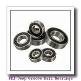 FBJ 6403 Deep Groove Ball Bearings