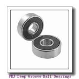 FBJ 6405ZZ Deep Groove Ball Bearings