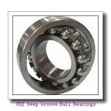 FBJ 6406 Deep Groove Ball Bearings