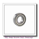 FBJ 6403-2RS Deep Groove Ball Bearings