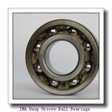 INA 722066210 Deep Groove Ball Bearings