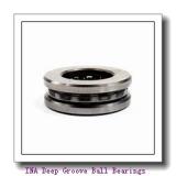 INA 712053910 Deep Groove Ball Bearings