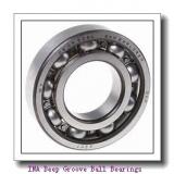 INA 712076410 Deep Groove Ball Bearings