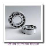 INA 712106210 Deep Groove Ball Bearings