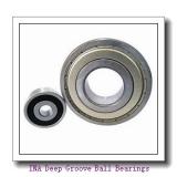 INA NN3030-AS-K-M-SP Deep Groove Ball Bearings