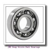 JNS NA 4824 Deep Groove Ball Bearings